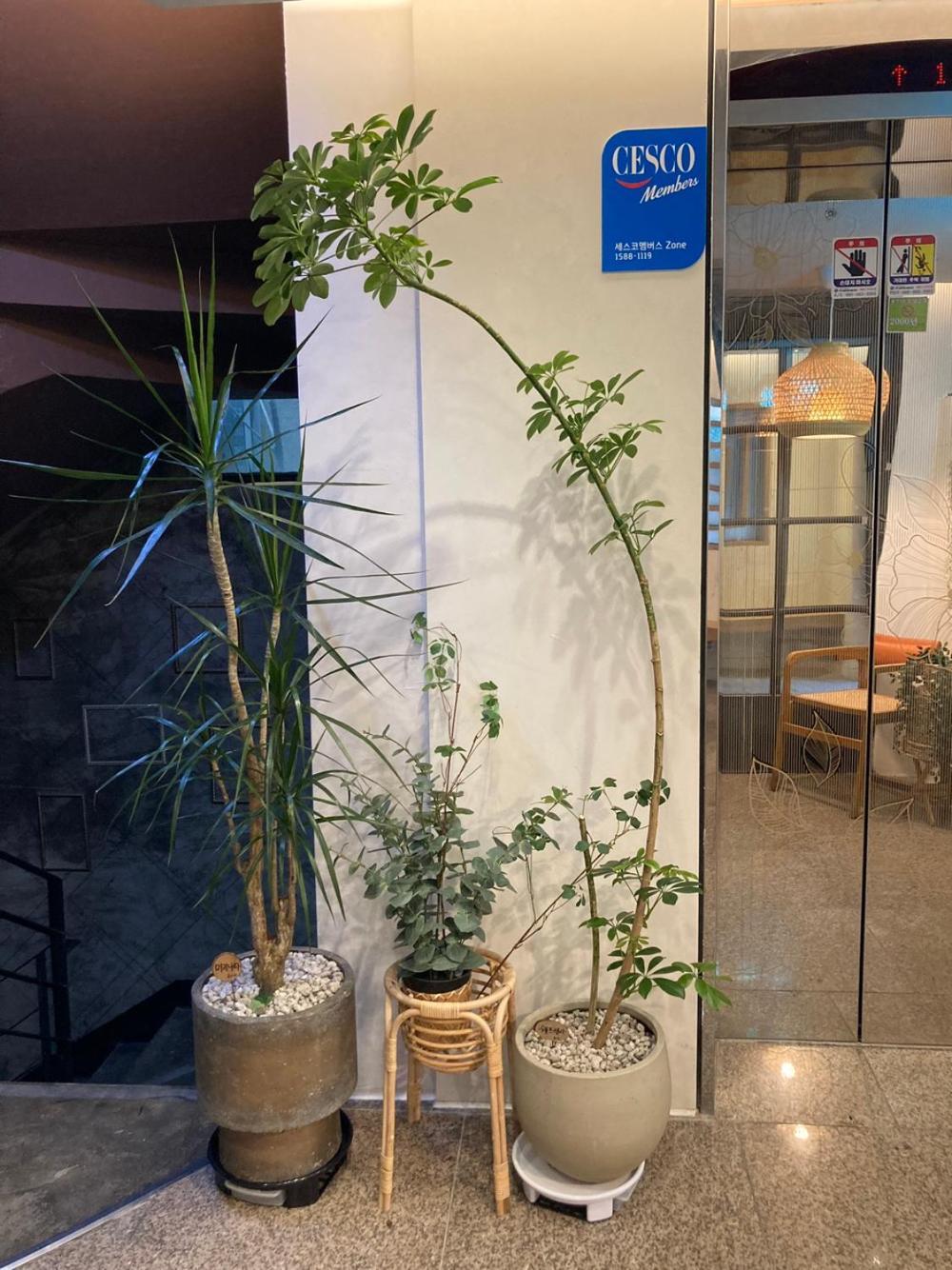 Hotel Less Сеул Екстер'єр фото